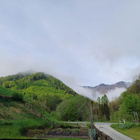 Wohnung Im Nationalpark Kalkalpen 3 Reichraming Экстерьер фото