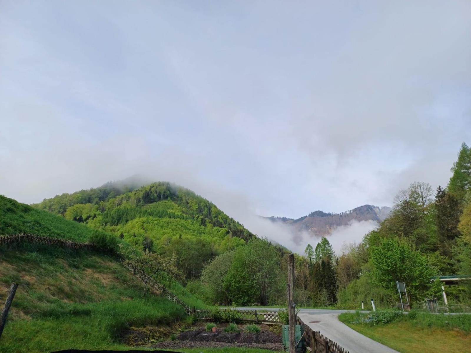 Wohnung Im Nationalpark Kalkalpen 3 Reichraming Экстерьер фото