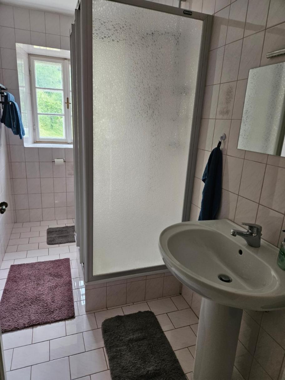 Wohnung Im Nationalpark Kalkalpen 3 Reichraming Экстерьер фото