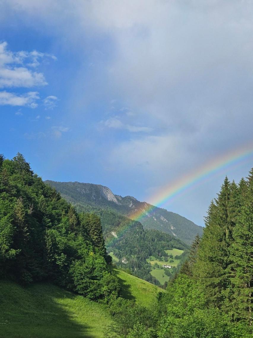 Wohnung Im Nationalpark Kalkalpen 3 Reichraming Экстерьер фото